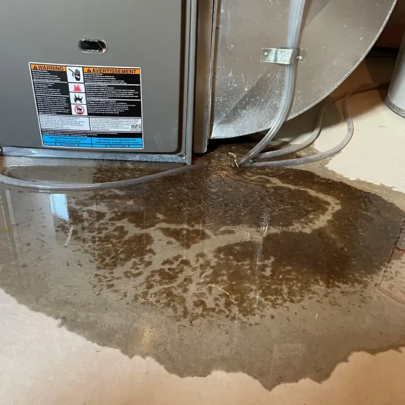 Appliance Leak Cleanup in Grant County, WV