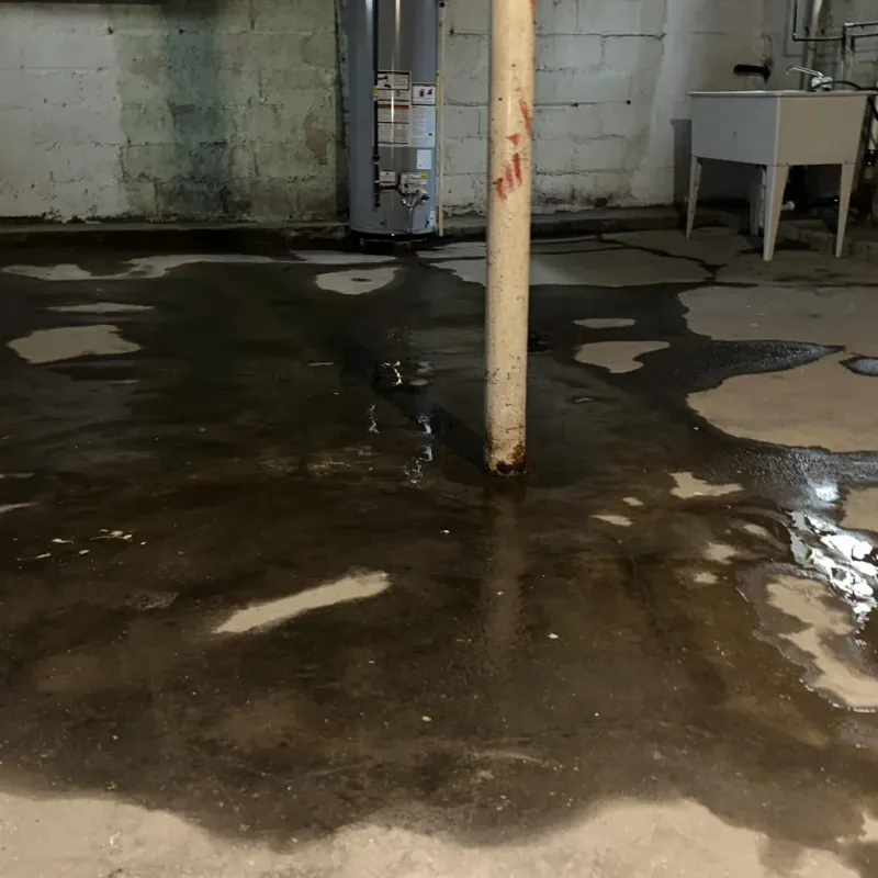 Emergency Water Extraction And Removal in Grant County, WV